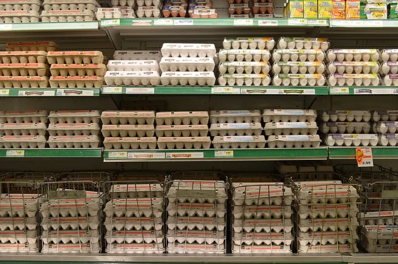 Why American Eggs Need the Fridge and European Eggs Don't — It All Comes Down to One Industrial Step