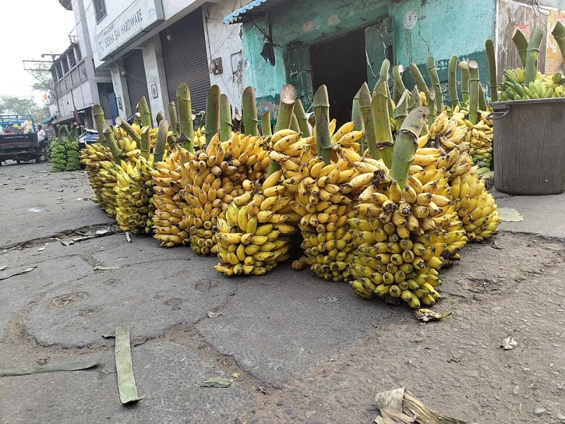 Your Bananas Aren't Actually Going Bad Faster — Your Memory of How They Used to Look Is Just Wrong