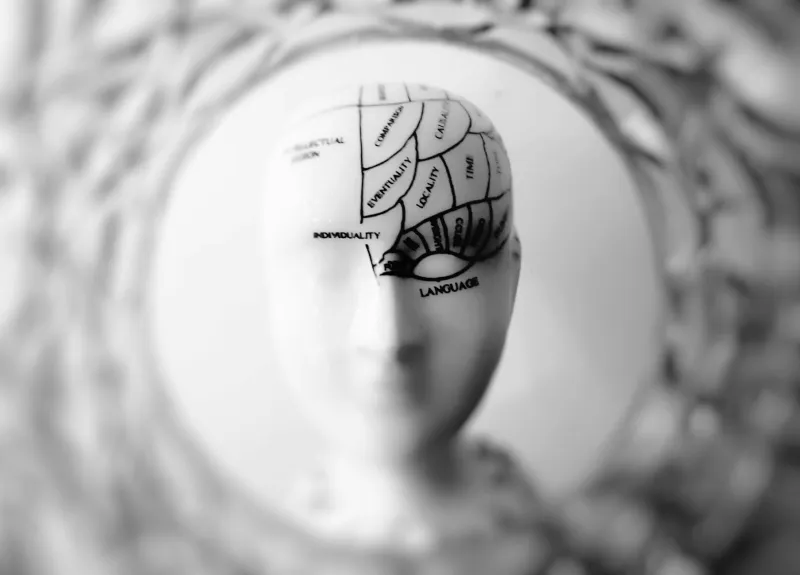 Why Everyone Thinks Creative People Are Right-Brained Despite Zero Brain Science Supporting It