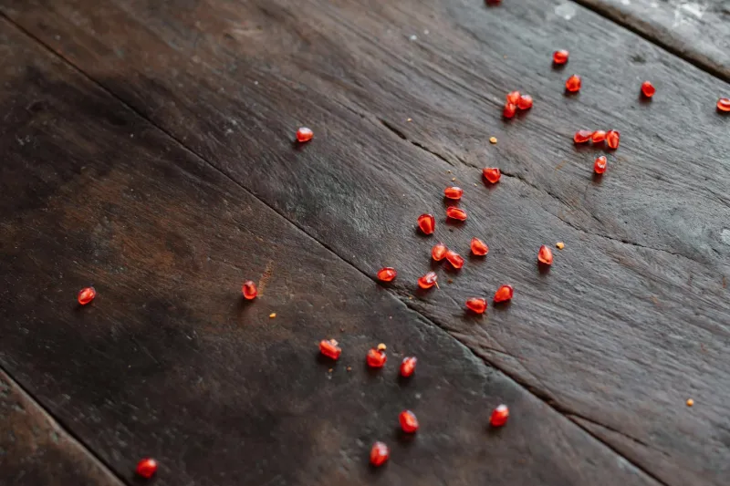 That Five-Second Floor Rule Has Real Science Behind It — But Time Isn't What Matters Most