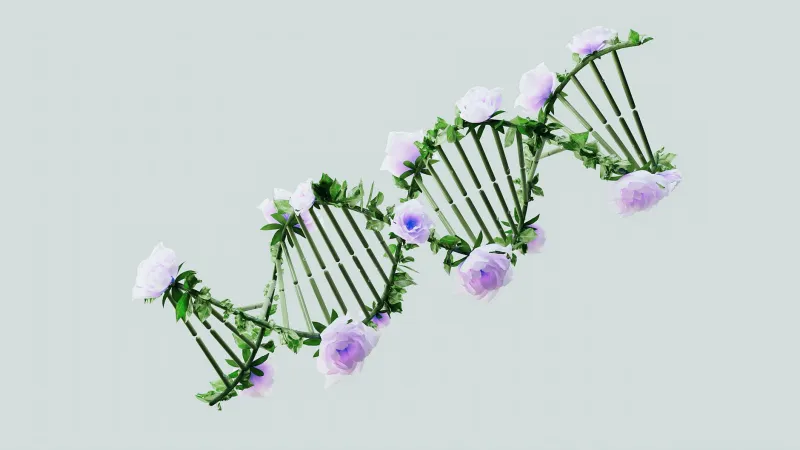 Scientists Never Called Most DNA 'Junk' — That Label Came From Journalists Who Misunderstood the Research