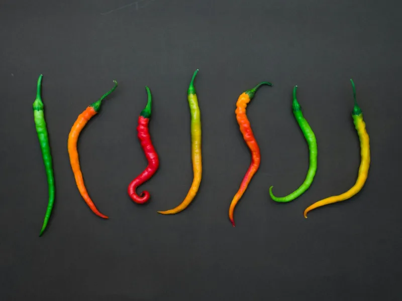 Spicy Food Tolerance Isn't About Your Tongue — It's Your Pain Receptors Learning to Ignore Signals