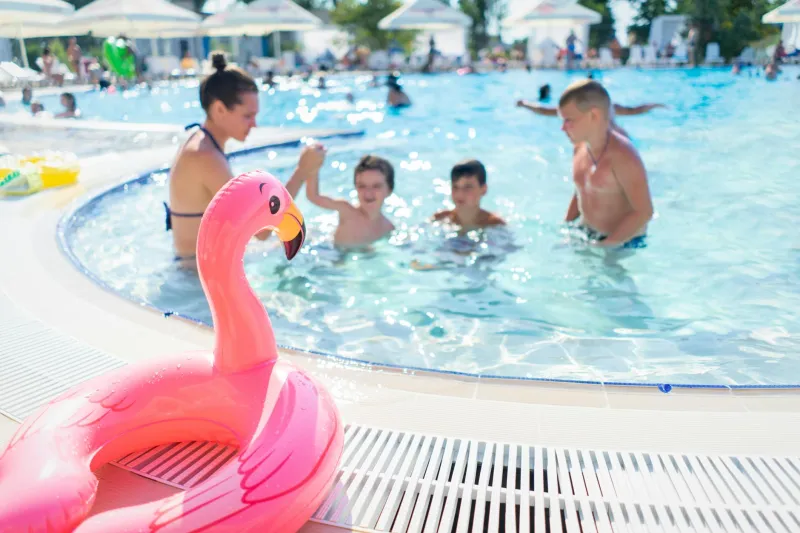 The Swimming After Eating Scare That Launched a Million Pool Timeouts