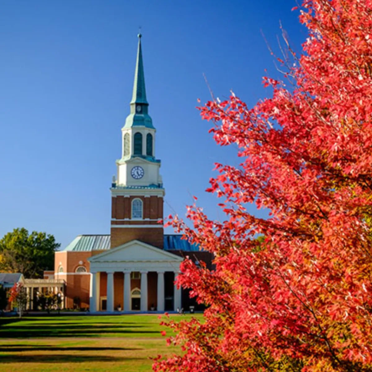 Wake Forest University